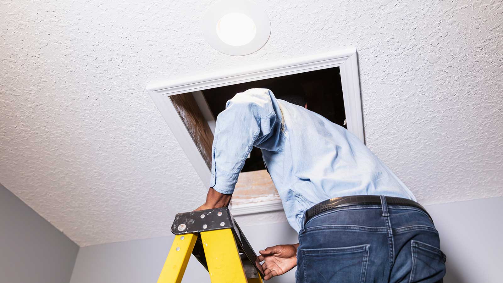 Homeowner using enlarged loft hatch with ladder